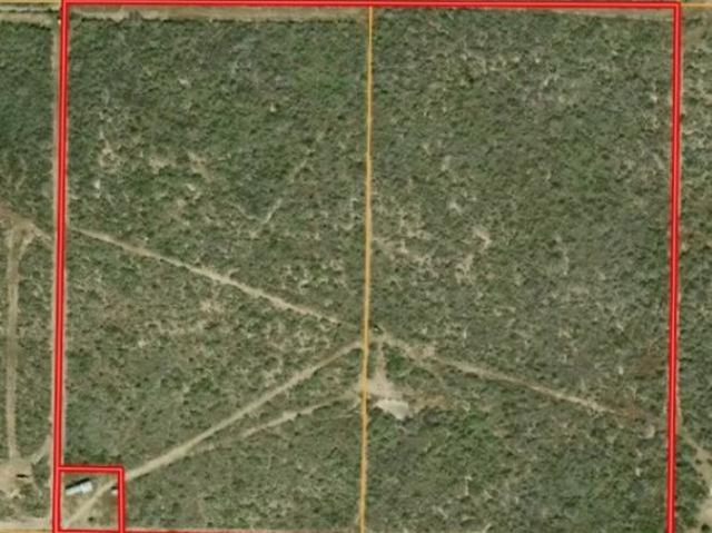 Land for sale in San Diego, Texas
