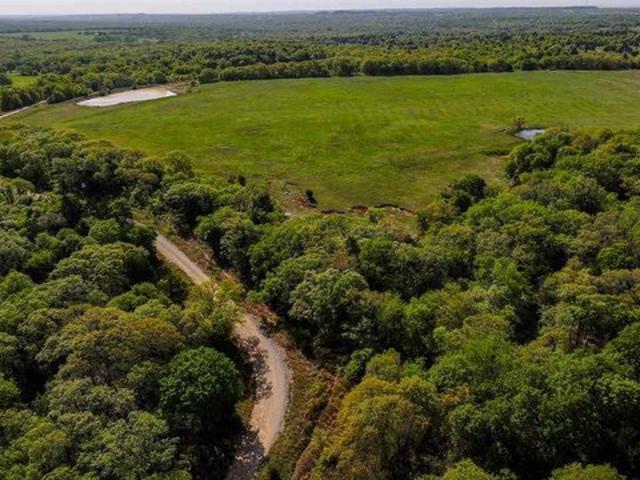 Farm for sale in Montague, Texas