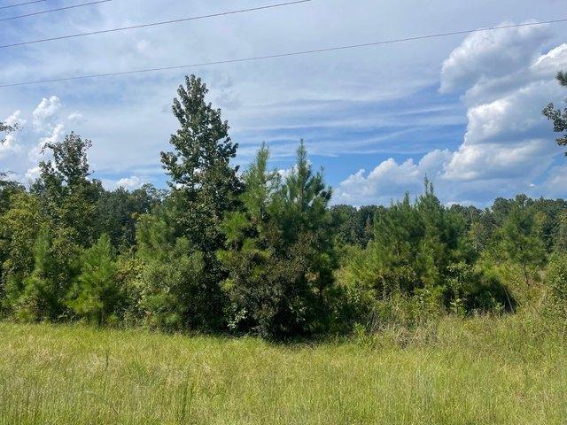 Land for sale in Pine Hill, Alabama