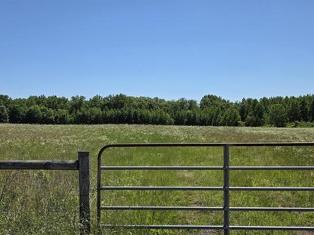 Land for sale in Ark