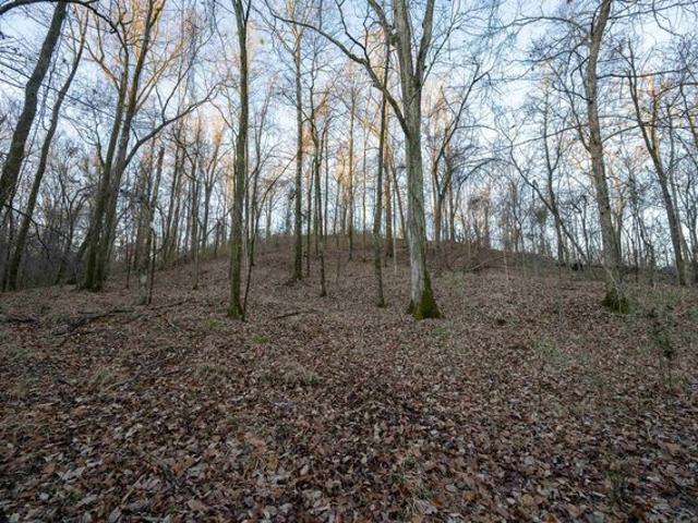 Land for sale in Fayette, Mississippi