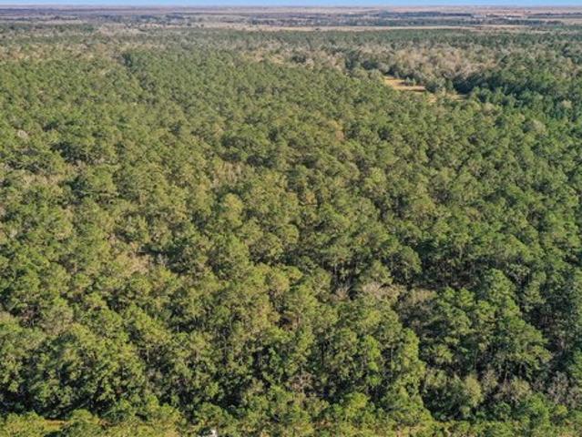 Land for sale in Chambers, Texas