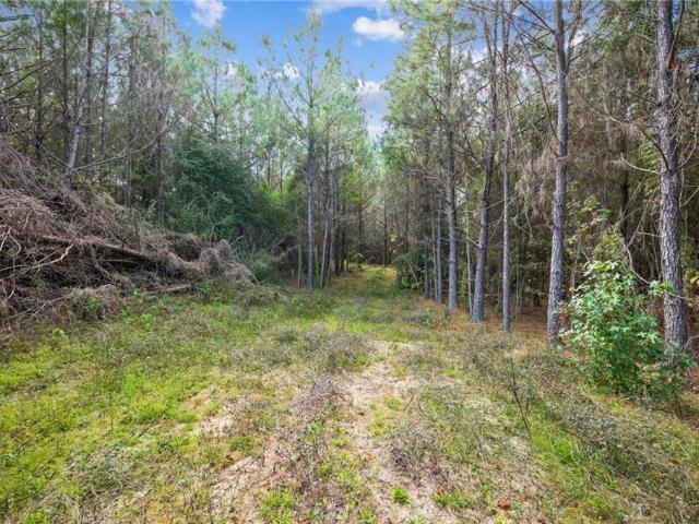 Land for sale in Franklinton, Louisiana