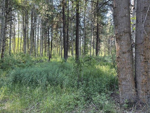 Land for sale in Oregonia
