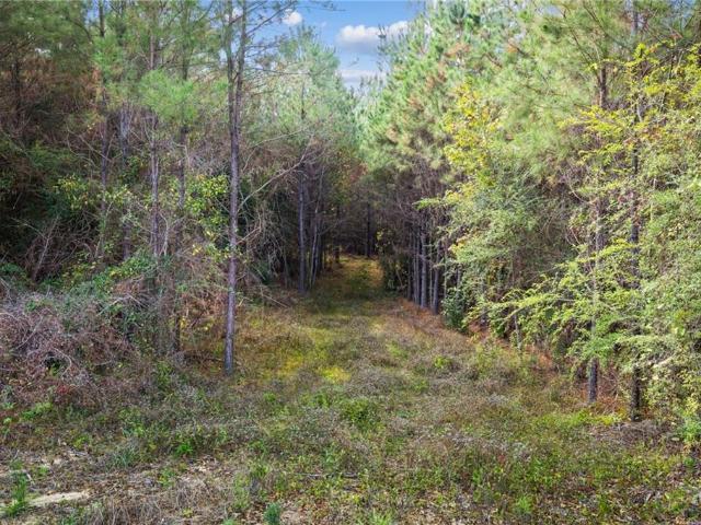 Land for sale in Franklinton, Louisiana