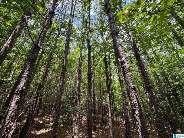 Land for sale in Coosa, Alabama