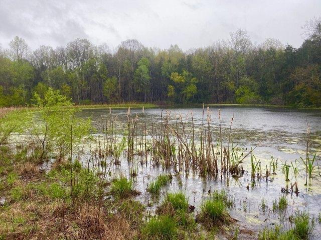 Land for sale in Wartrace, Middle Tennessee