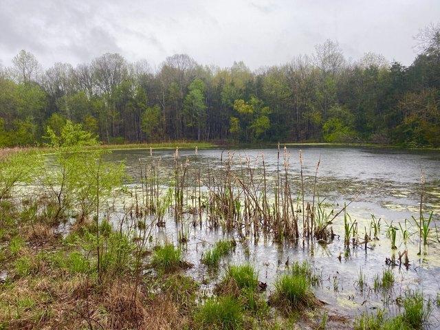 Farm for sale in Tennessee