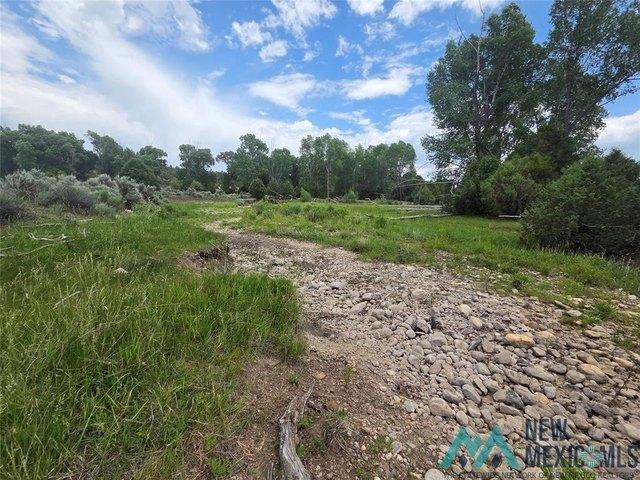 Farm for sale in Los Ojos, New Mexico