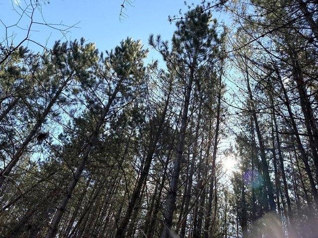 Land for sale in Hubbard, Minnesota