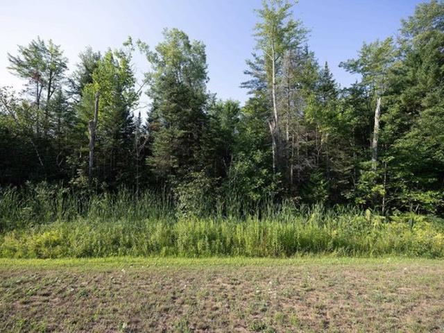 Land for sale in Suring, Wisconsin