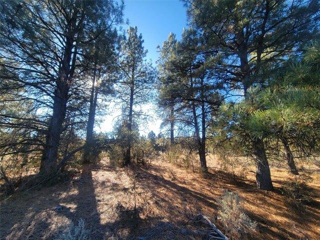 Farm for sale in Los Ojos, New Mexico