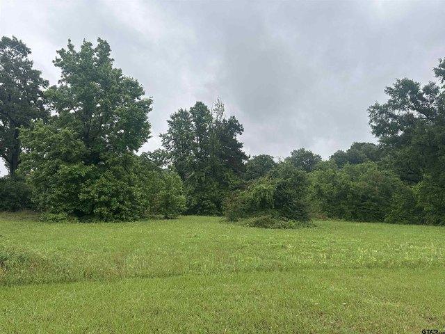 Land for sale in Smith, Texas