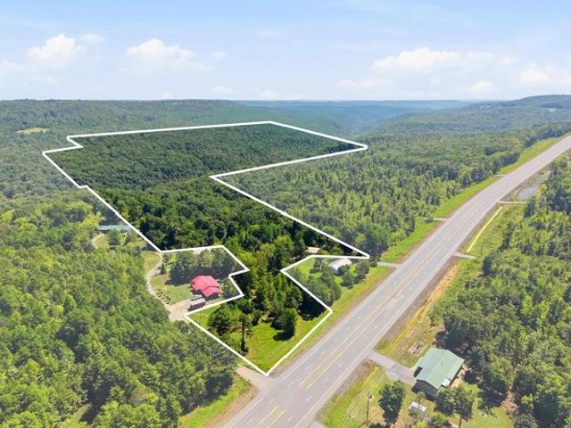 Land for sale in Clinton, Van Buren County