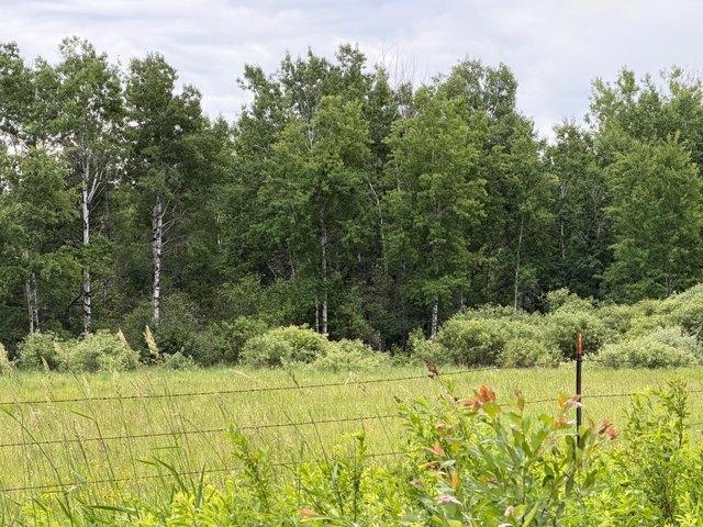 Land for sale in Nashwauk, Minnesota