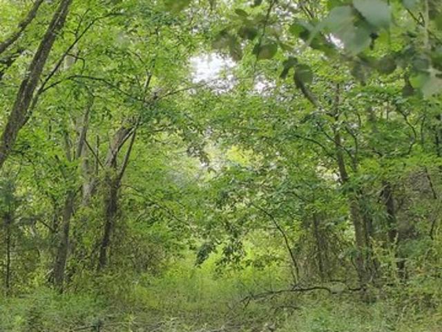 Land for sale in Urbana, Missouri