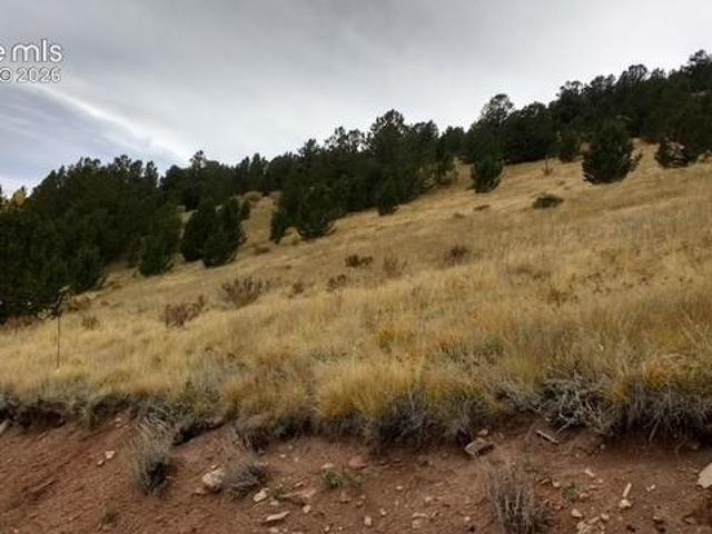 Land for sale in Teller, Colorado