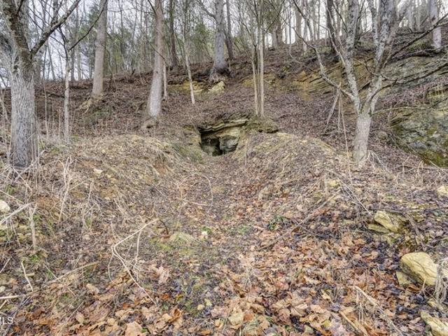 Land for sale in Tennessee