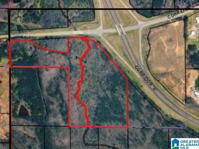 Land for sale in Jasper, Alabama