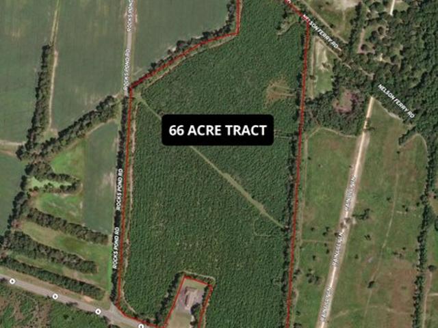 Land for sale in Eutawville, South Carolina