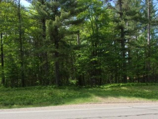 Land for sale in Vilas, Wisconsin