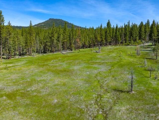 Land for sale in Portola, California