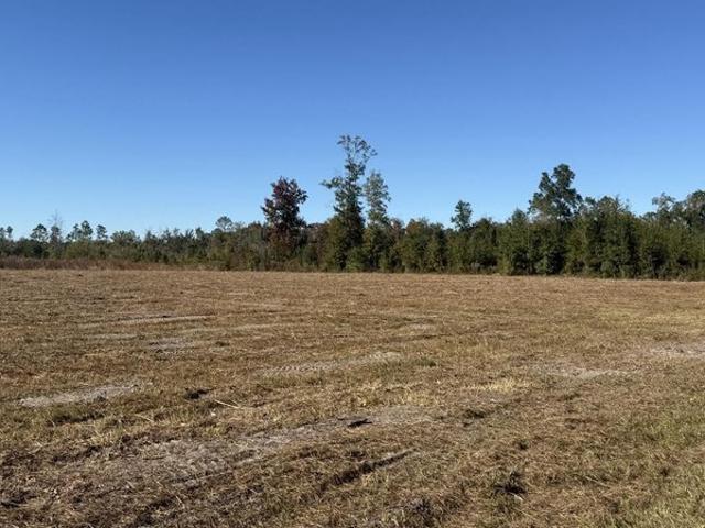 Land for sale in Wewahitchka, Gulf County