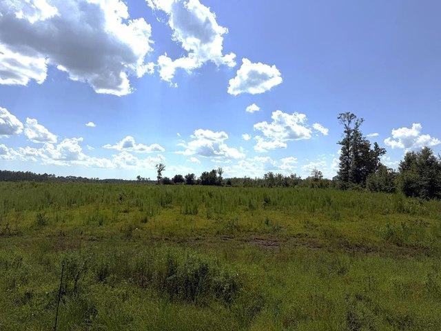 Land for sale in Gulf, Florida