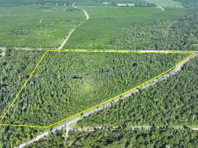 Land for sale in Kinard, Florida
