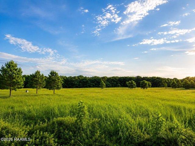 Land for sale in Church Point, Louisiana