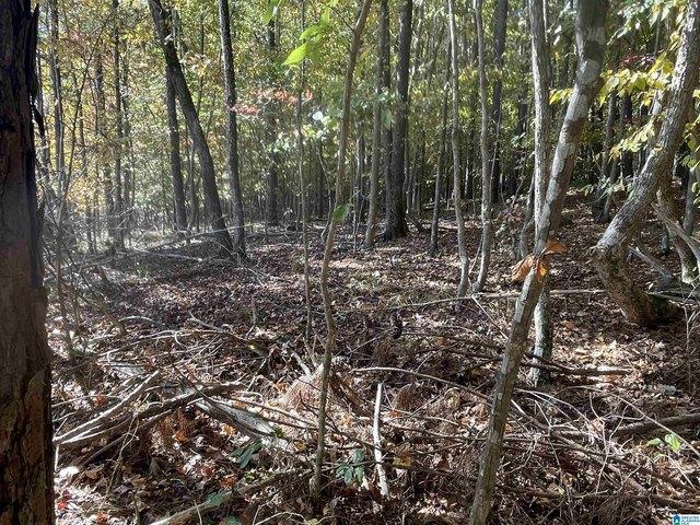 Land for sale in Oneonta, Blount County