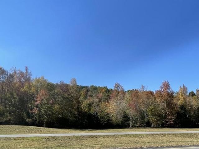 Land for sale in Oneonta, Blount County