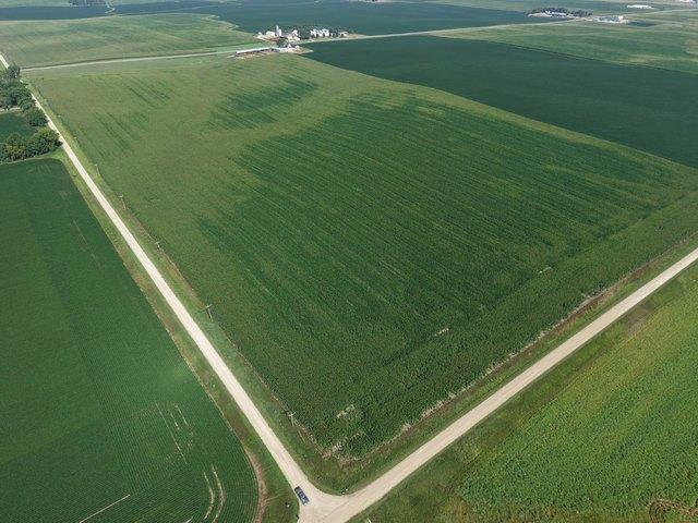 Land for sale in Luverne, Rock County