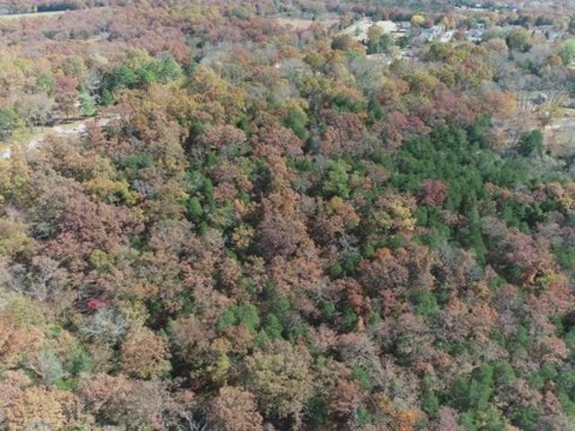 Land for sale in Kirbyville, Missouri