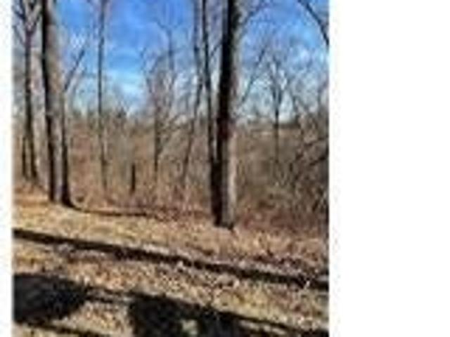Farm for sale in Newllano, Missouri