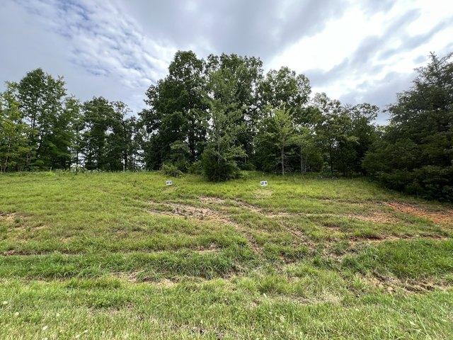 Land for sale in Tennessee