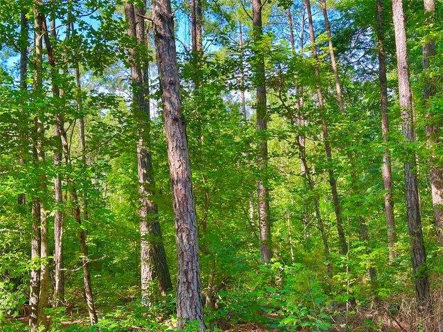 Land for sale in Haynesville, Louisiana