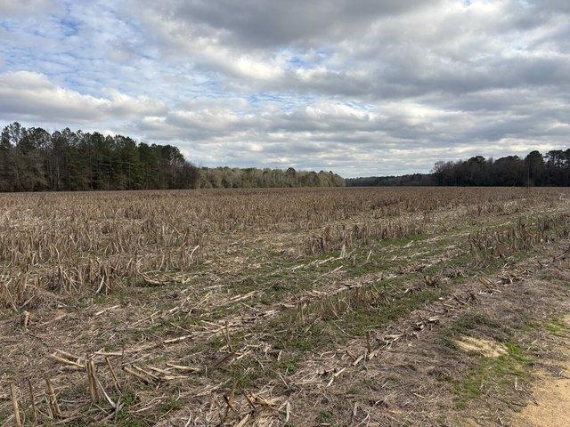 Land for sale in Alabama