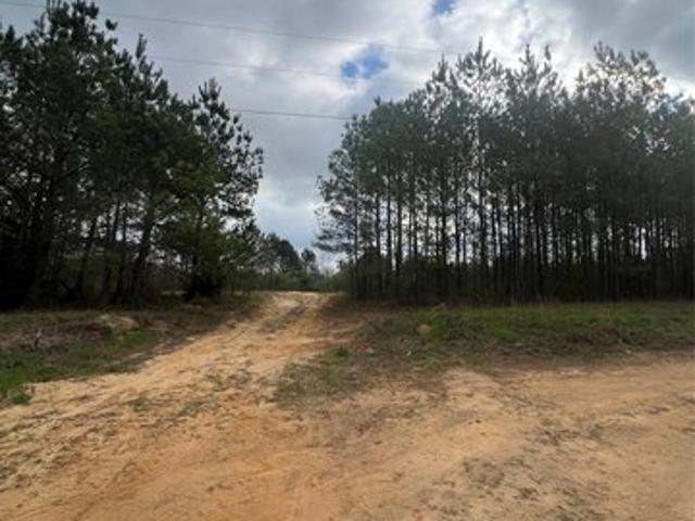 Land for sale in Billingsley, Alabama