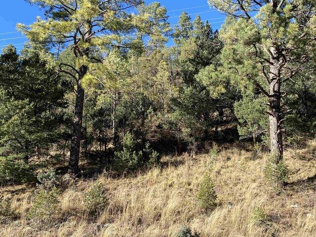 Land for sale in Mayhill, New Mexico