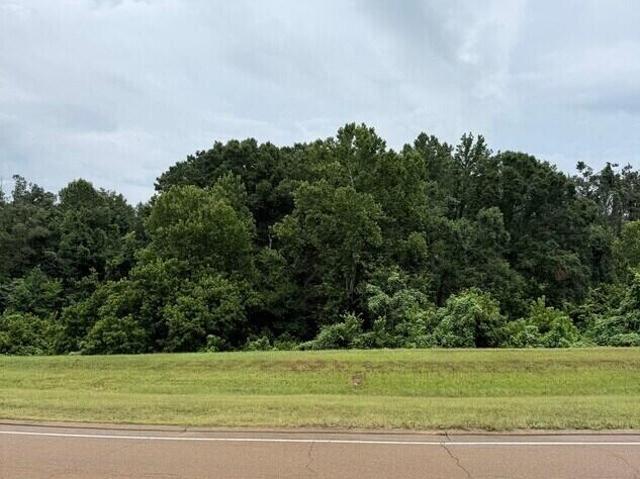 Land for sale in Carrollton, Mississippi