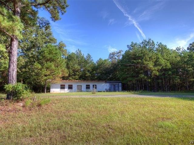 Land for sale in Gordo, Alabama