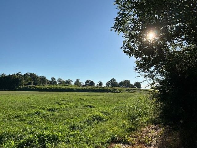 Land for sale in Winona, Mississippi