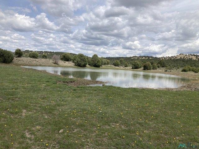 Land for sale in Los Ojos, New Mexico
