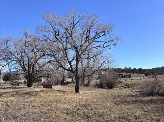 Land for sale in Cebolla, Rio Arriba County