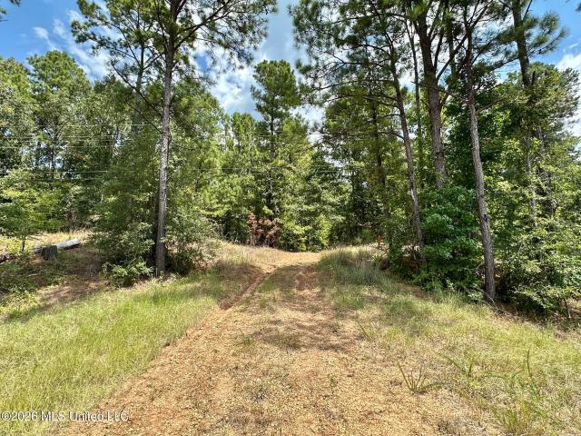 Land for sale in Roxie, Mississippi
