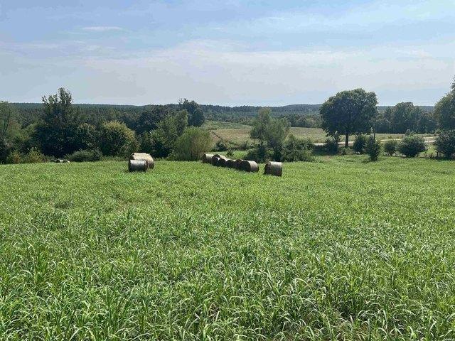 Land for sale in Umpire, Howard County