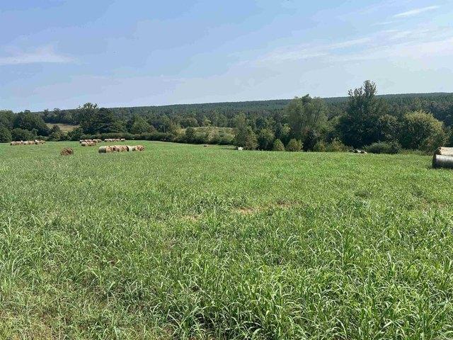 Land for sale in Umpire, Howard County
