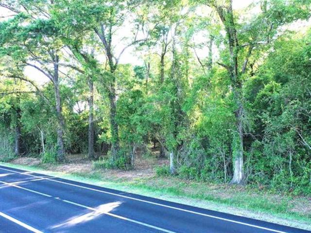 Land for sale in Jay, Florida