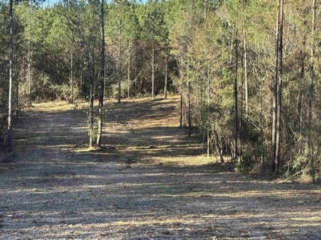 Land for sale in Florida
